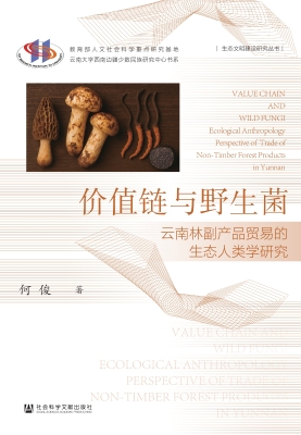 价值链与野生菌：云南林