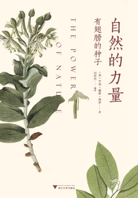 自然的力量——有翅膀