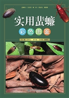 实用蜚蠊彩色图鉴