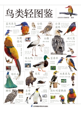 鸟类轻图鉴