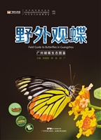 野外观蝶——广州蝴蝶