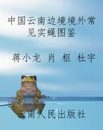 中国云南边境境外常见