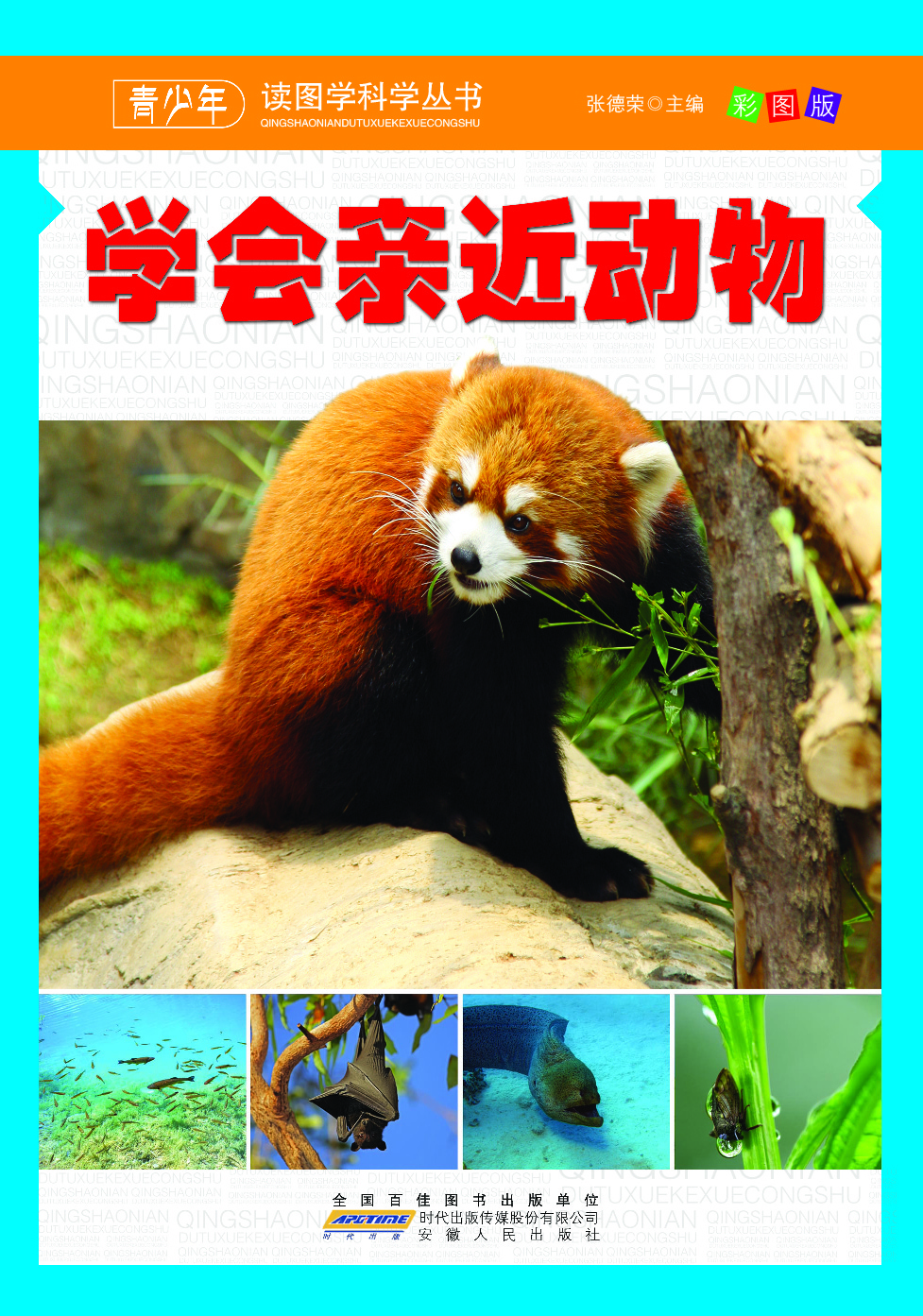 学会亲近动物