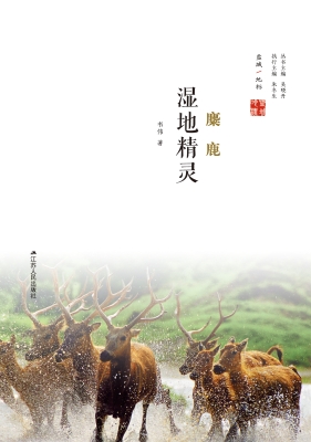 湿地精灵：麋鹿