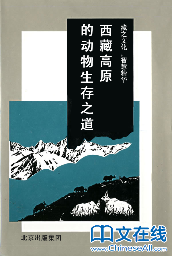 西藏高原的动物生存之