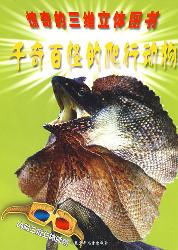 千奇百怪的爬行动物