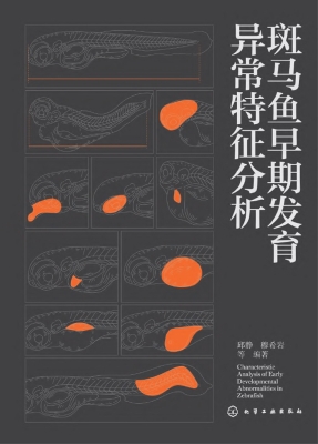 斑马鱼早期发育异常特