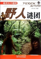 野人谜团