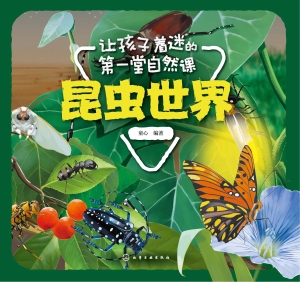 让孩子着迷的第一堂自