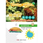 海洋图书馆——神秘的