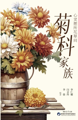 心灵憩所花草间——菊