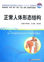 正常人体形态结构