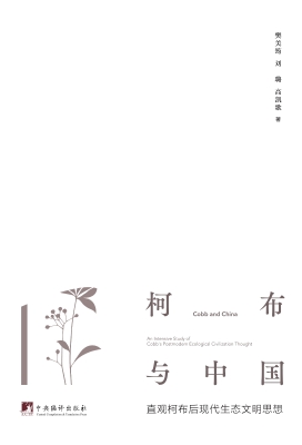 柯布与中国——直观柯