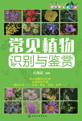 常见植物识别与鉴赏