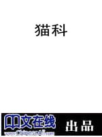猫科