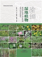 洛阳湿地植物