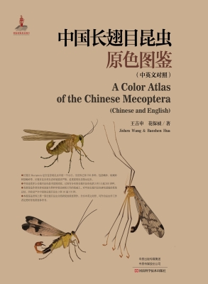 中国长翅目昆虫原色图