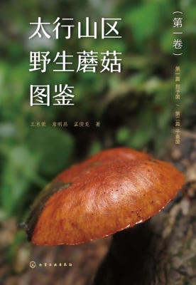 太行山区野生蘑菇图鉴