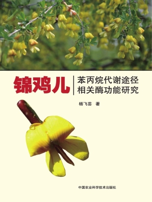 锦鸡儿苯丙烷代谢途径