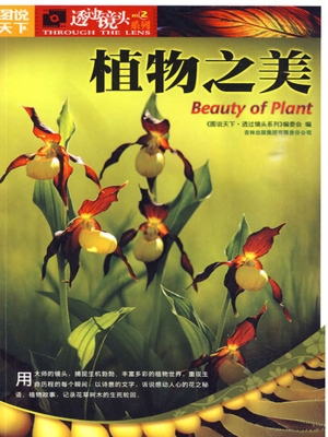 植物之美
