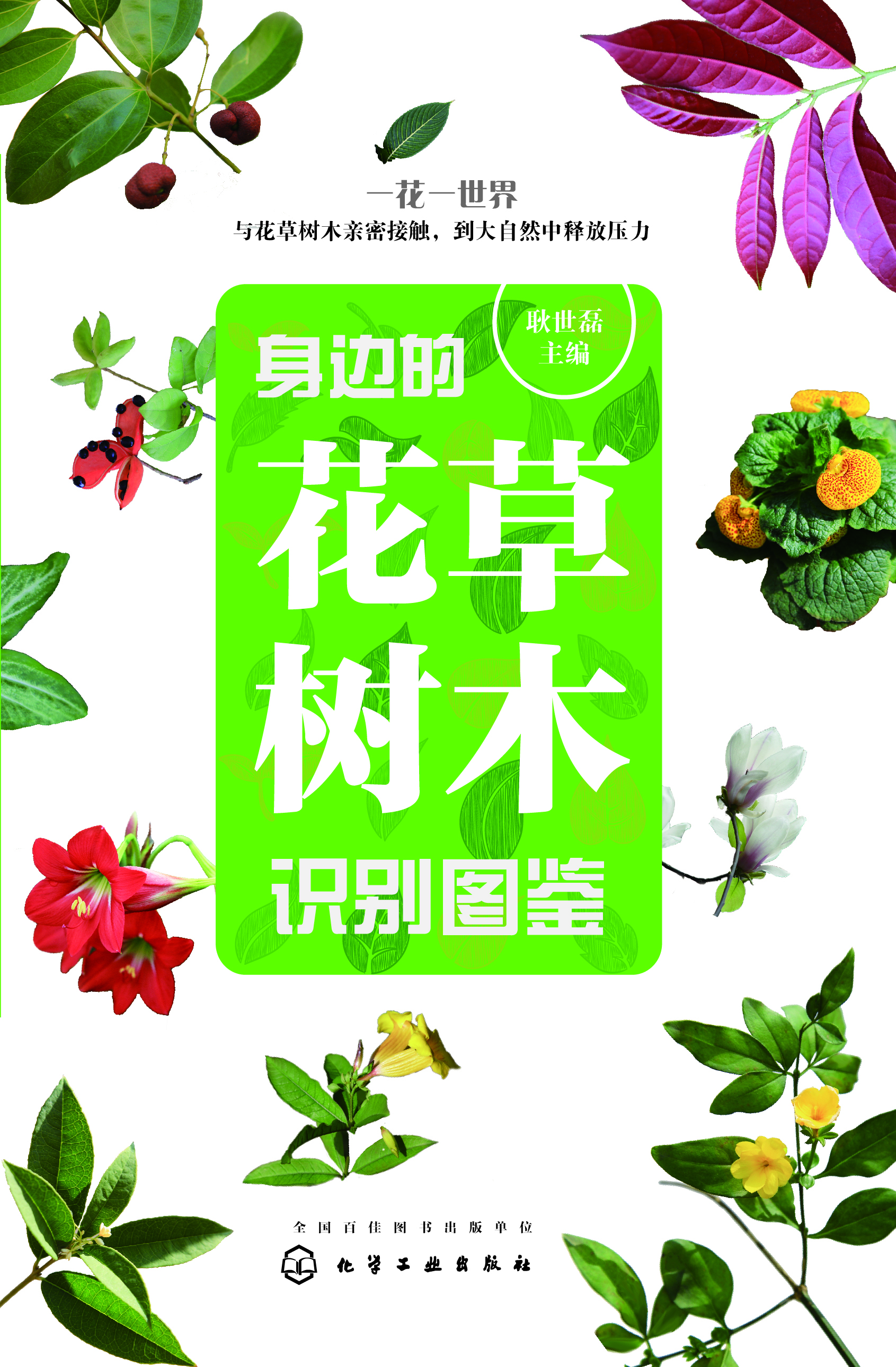身边的花草树木识别图