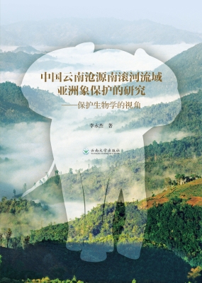 中国云南沧源南滚河流
