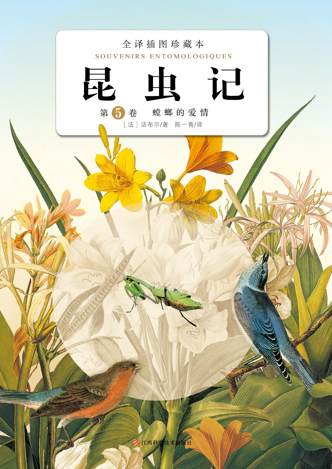 昆虫记：第5卷·螳螂的
