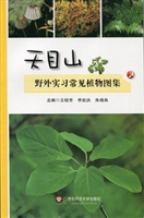 天目山野外实习常见植