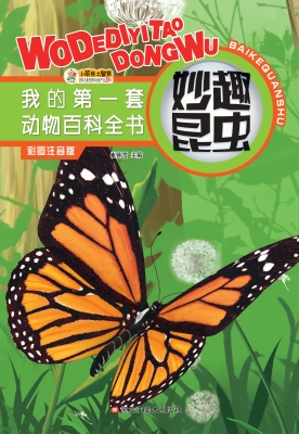 妙趣昆虫