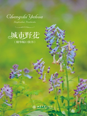 城市野花（精华版口袋书