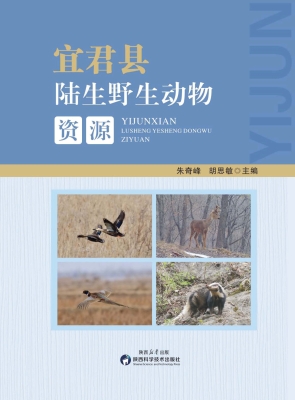 宜君县陆生野生动物资