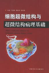 细胞超微结构与超微结