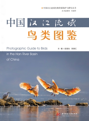 中国汉江流域鸟类图鉴