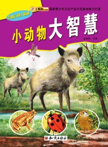 小动物大智慧