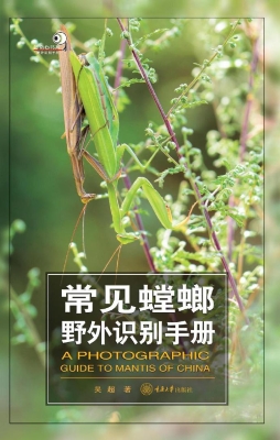 常见螳螂野外识别手册