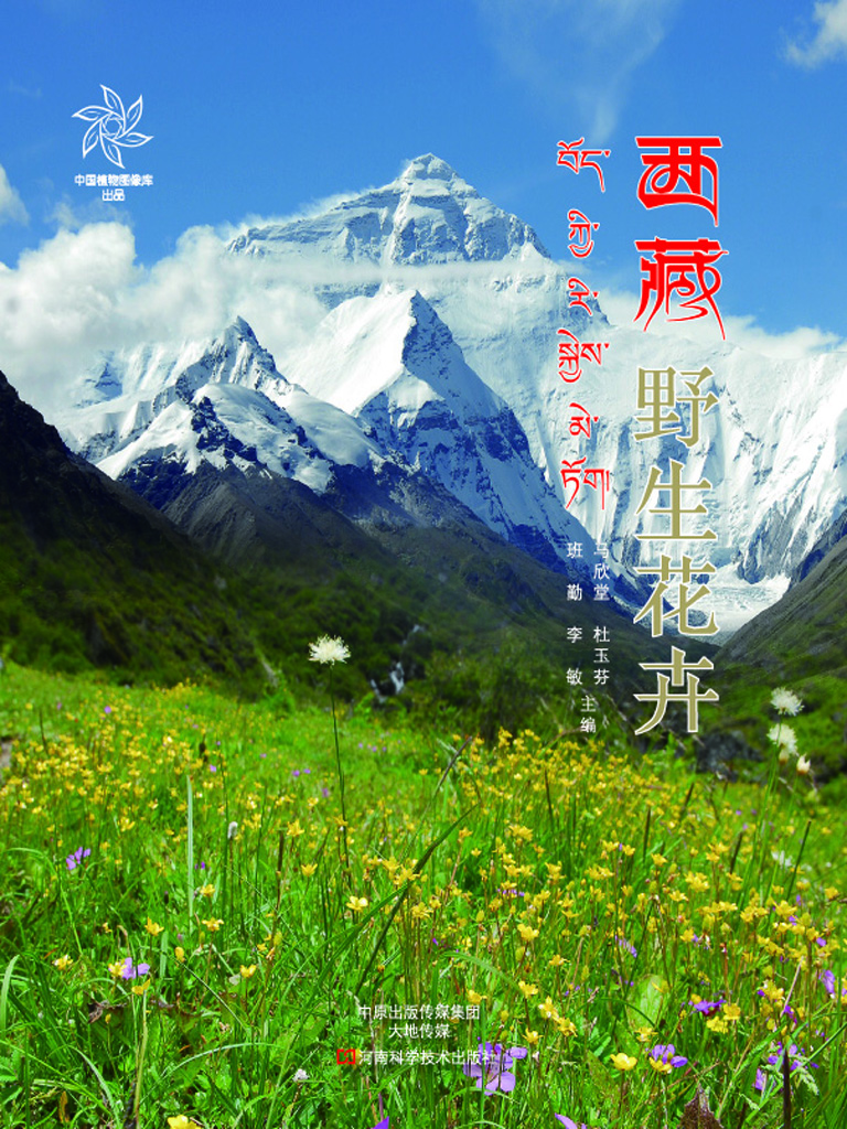 西藏野生花卉
