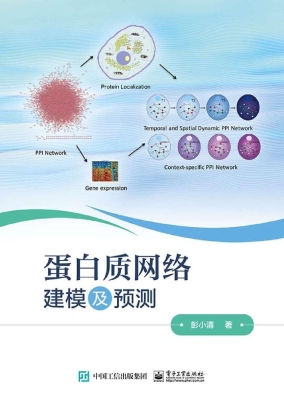 蛋白质网络建模及预测