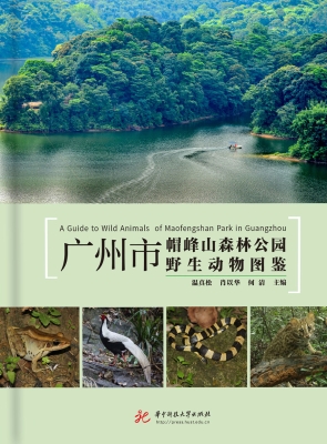 广州市帽峰山森林公园
