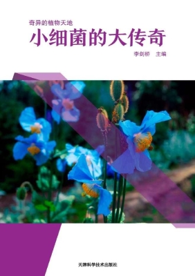 小细菌的大传奇