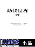 动物世界（三）