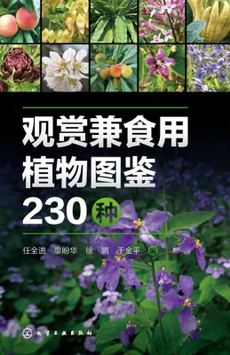 观赏兼食用植物图鉴23