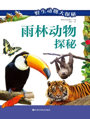 雨林动物探秘