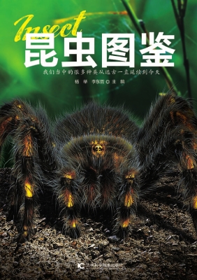 昆虫图鉴