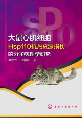 大鼠心肌细胞Hsp110抗