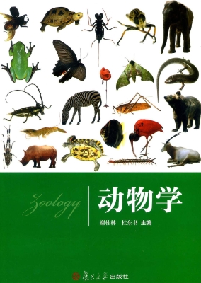 动物学