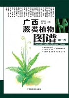 广西蕨类植物图谱（第一
