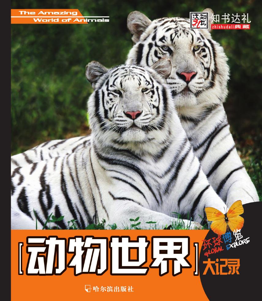 动物世界大记录
