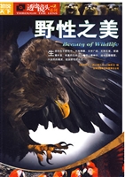野性之美