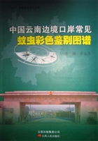 中国云南边境口岸常见