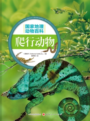 爬行动物